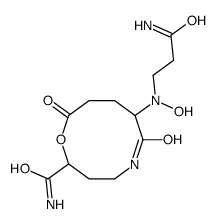 ammonigenin picture