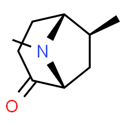 8-Azabicyclo[3.2.1]octan-2-one,6,8-dimethyl-,(1R,5R,6S)-rel-(9CI) structure