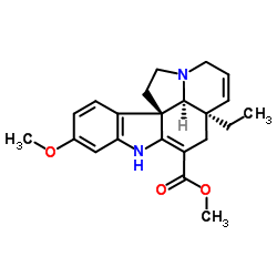 Ervamycine picture