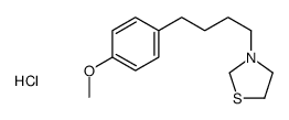 Thiazolidine, 3-(4-(p-methoxyphenyl)butyl)-, hydrochloride picture