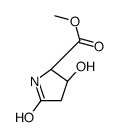 methyl (2S)-3-hydroxy-5-oxopyrrolidine-2-carboxylate结构式