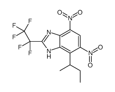 4-butan-2-yl-5,7-dinitro-2-(1,1,2,2,2-pentafluoroethyl)-1H-benzimidazole结构式