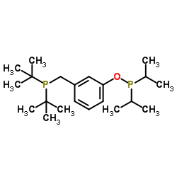 3-{[Bis(2-methyl-2-propanyl)phosphino]methyl}phenyl diisopropylphosphinite Structure