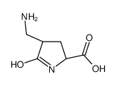 L-Proline, 4-(aminomethyl)-5-oxo-, (4R)- (9CI) picture