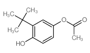 (4-hydroxy-3-tert-butyl-phenyl) acetate结构式
