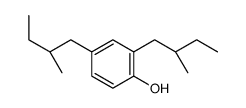 2,4-bis[(2R)-2-methylbutyl]phenol Structure