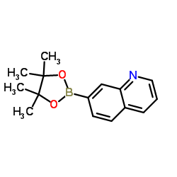 7-(4,4,5,5-tetramethyl-1,3,2-dioxaborolan-2-yl)quinoline picture
