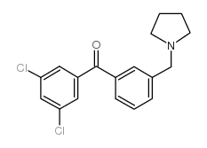 3,5-DICHLORO-3'-PYRROLIDINOMETHYL BENZOPHENONE结构式