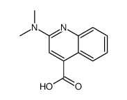 2-(Dimethylamino)-4-quinolinecarboxylic acid结构式
