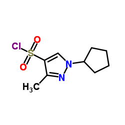 1-Cyclopentyl-3-methyl-1H-pyrazole-4-sulfonyl chloride结构式