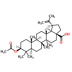 Betulic acid acetate picture