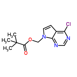 (4-氯-7H-吡咯并[2,3-D]嘧啶-7-基)甲基特戊酸酯图片