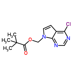 (4-chloro-7H-pyrrolo[2,3-d]pyrimidin-7-yl)methyl pivalate picture