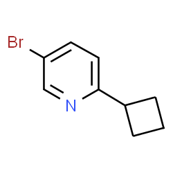 5-Bromo-2-cyclobutylpyridine picture