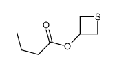 thietan-3-yl butanoate Structure