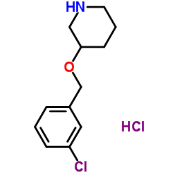 3-[(3-Chlorobenzyl)oxy]piperidine hydrochloride (1:1) Structure