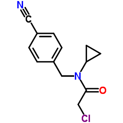 2-Chloro-N-(4-cyanobenzyl)-N-cyclopropylacetamide结构式