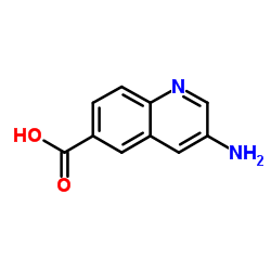 3-aminoquinoline-6-carboxylic acid picture