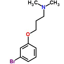 3-(3-Bromophenoxy)-N,N-dimethyl-1-propanamine structure