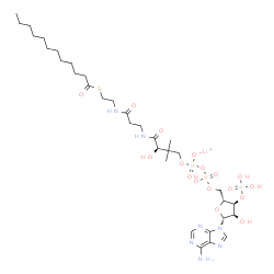 Lauroyl coenzyme A lithium salt Structure