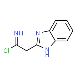 1H-Benzimidazole-2-ethanimidoylchloride(9CI) picture