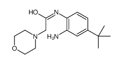 N-(2-amino-4-tert-butylphenyl)-2-morpholin-4-ylacetamide结构式