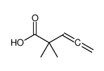 2,2-dimethylpenta-3,4-dienoic acid Structure