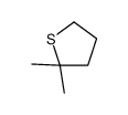 2,2-dimethylthiolane Structure