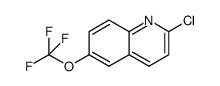 2-chloro-6-(trifluoromethoxy) quinoline picture