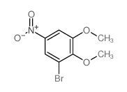 1-bromo-2,3-dimethoxy-5-nitro-benzene picture