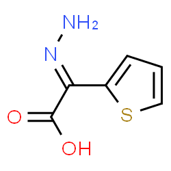 2-Thiopheneaceticacid,alpha-hydrazono-(9CI) structure