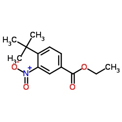 Ethyl 4-(2-methyl-2-propanyl)-3-nitrobenzoate picture