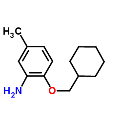 2-(Cyclohexylmethoxy)-5-methylaniline Structure