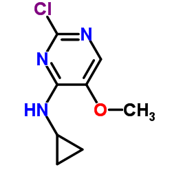 2-Chloro-N-cyclopropyl-5-methoxy-4-pyrimidinamine结构式