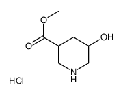 5-羟基-3-哌啶甲酸甲酯盐酸盐图片