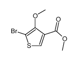5-溴-4-甲氧基噻吩-3-甲酸甲酯结构式