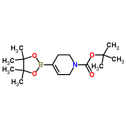N-Boc-1,2,5,6-tetrahydropyridine-4-boronic acid pinacol ester picture