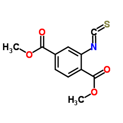 Dimethyl 2-isothiocyanatoterephthalate图片