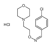 (E)-1-(4-chlorophenyl)-N-(2-morpholin-4-ium-4-ylethoxy)methanimine,chloride结构式