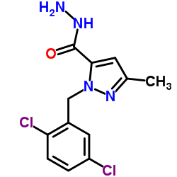 1-(2,5-Dichlorobenzyl)-3-methyl-1H-pyrazole-5-carbohydrazide Structure