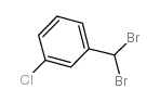 Benzene,1-chloro-3-(dibromomethyl)- picture