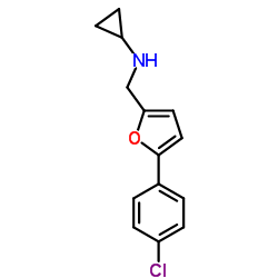 N-{[5-(4-Chlorophenyl)-2-furyl]methyl}cyclopropanamine结构式