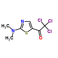 2,2,2-Trichloro-1-[2-(dimethylamino)-1,3-thiazol-5-yl]ethanone结构式