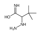 2-hydrazinyl-3,3-dimethylbutanamide结构式