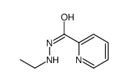 N'-ethylpyridine-2-carbohydrazide结构式