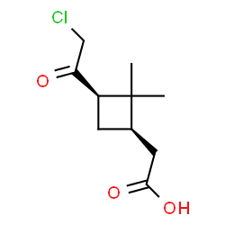 Cyclobutaneacetic acid, 3-(chloroacetyl)-2,2-dimethyl-, cis- (9CI) picture