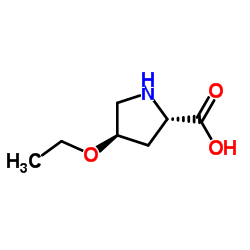 L-Proline, 4-ethoxy-, trans- (9CI) Structure