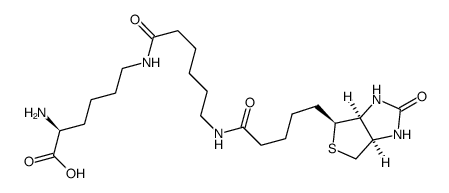 N-epsilon(biotinylaminocaproyl)lysine Structure