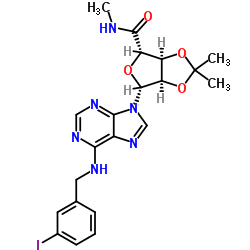 (3aS,4S,6R,6aR)-6-{6-[(3-Iodobenzyl)amino]-9H-purin-9-yl}-N,2,2-trimethyltetrahydrofuro[3,4-d][1,3]dioxole-4-carboxamide Structure