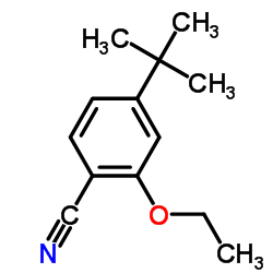 2-Ethoxy-4-(2-methyl-2-propanyl)benzonitrile structure